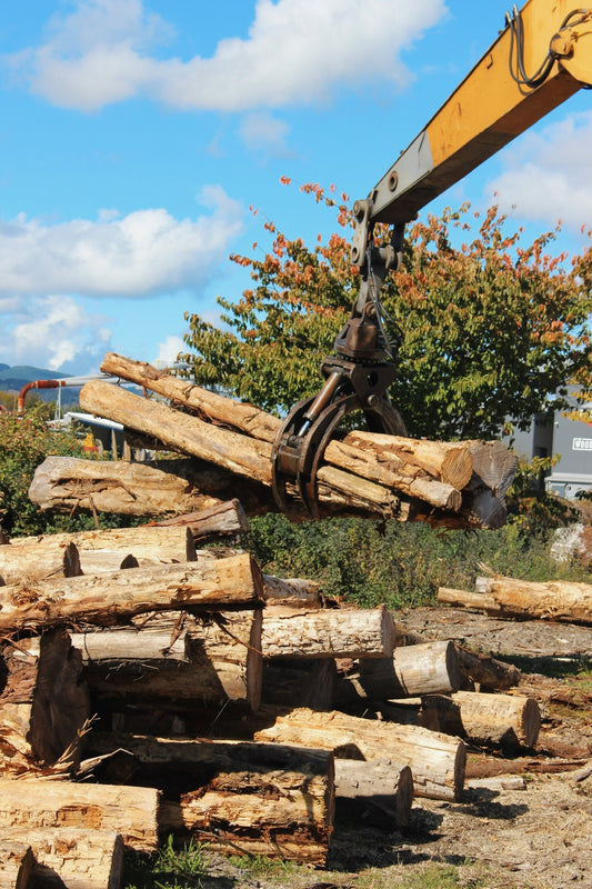 Macrocarpa - Ready to burn 2026