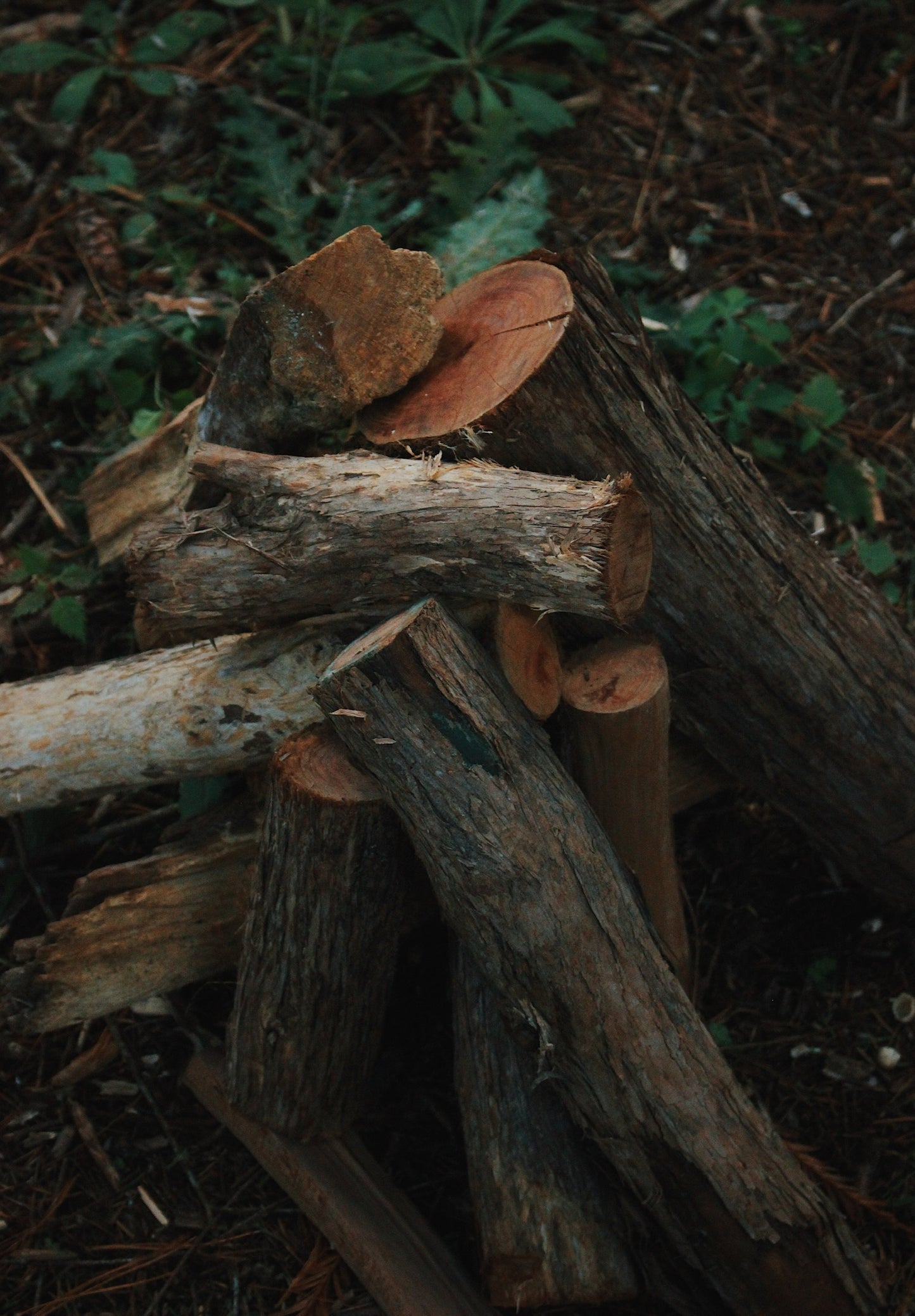 Oak Bag