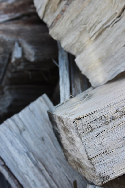 Macrocarpa - Ready to burn 2026